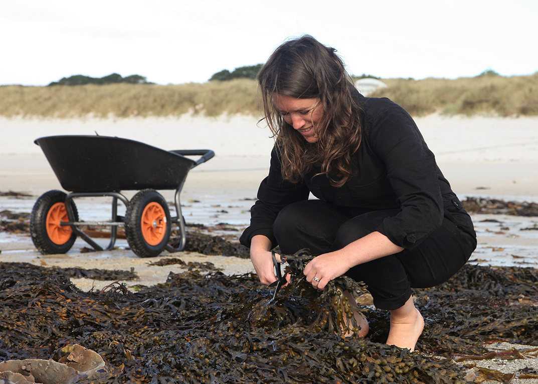 Creative Chats Ella Mclachlan | Ella foraging seaweed on the Island of St. Martin's, Isles of Scilly, for Phoenix & Providence organic seaweed skincare products.