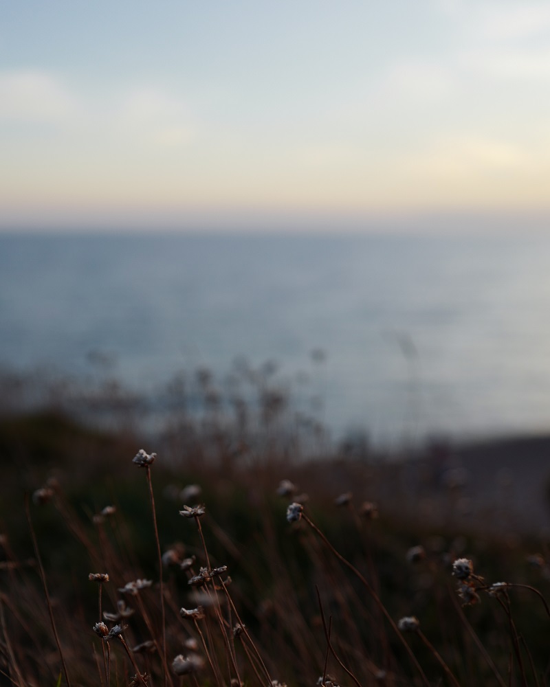 Sunset at the jurassic coast